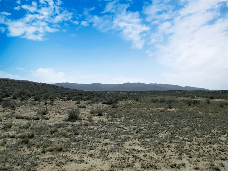 Desert Paradise : Los Lunas : Valencia County : New Mexico