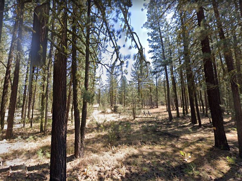 Make Modoc County Memorable : Modoc : Modoc County : California