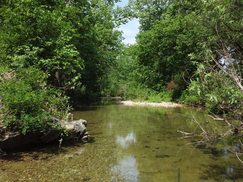 Great Farm with Live Water : Wasola : Ozark County : Missouri