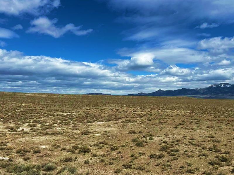 Do Things Your Way in Elko County : Montello : Elko County : Nevada