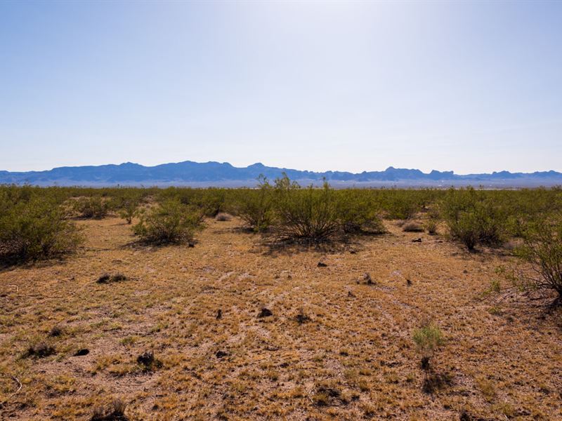 1.13 Ac with Power in Golden Valley : Golden Valley : Mohave County : Arizona