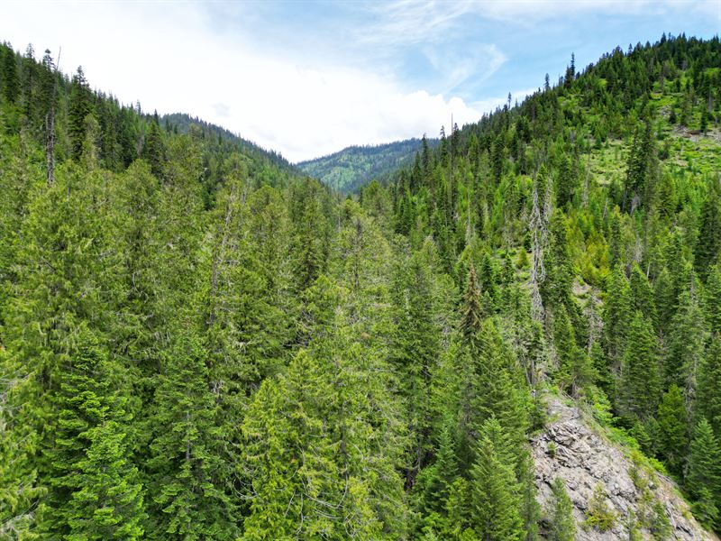Russian Creek Timber & Recreational : Kooskia : Idaho County : Idaho