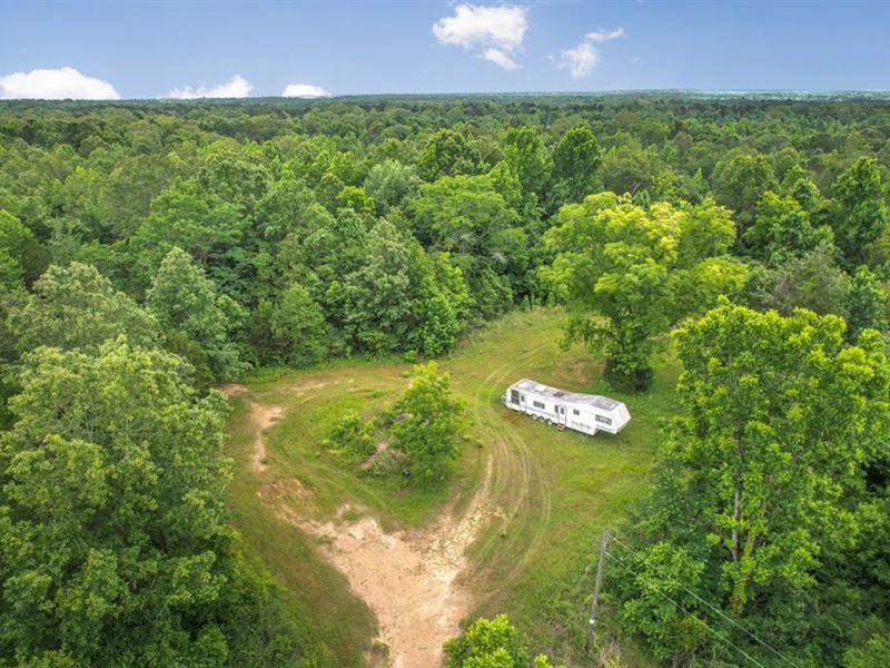 150 Acres Land for Sale Jefferson : Pattison : Jefferson County : Mississippi