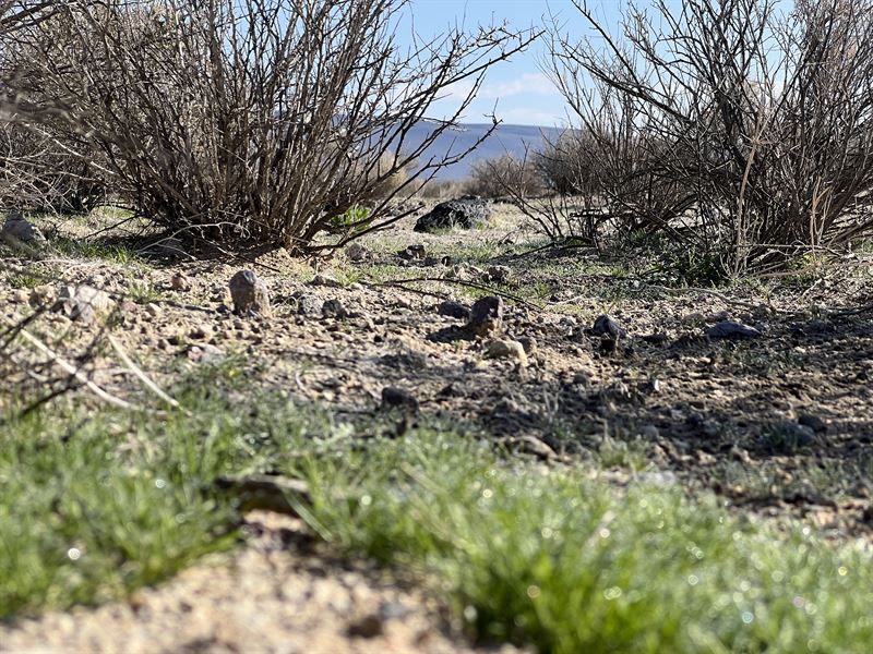 2.44 Acre Lot in The Mojave Desert : Barstow : San Bernardino County : California