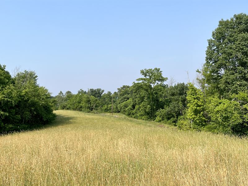 Scott Rd Tract 2, 24.5 Ac : New Matamoras : Washington County : Ohio