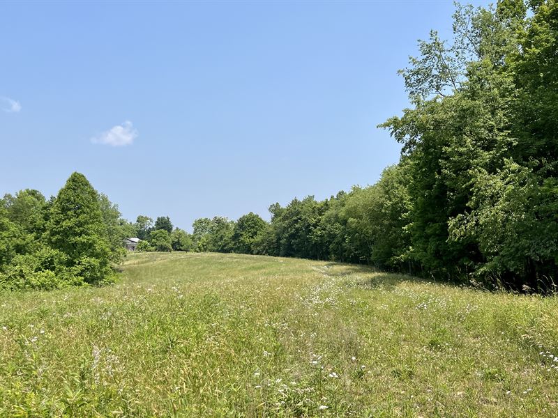 Scott Rd Tract 7, 27.1 Ac : New Matamoras : Washington County : Ohio
