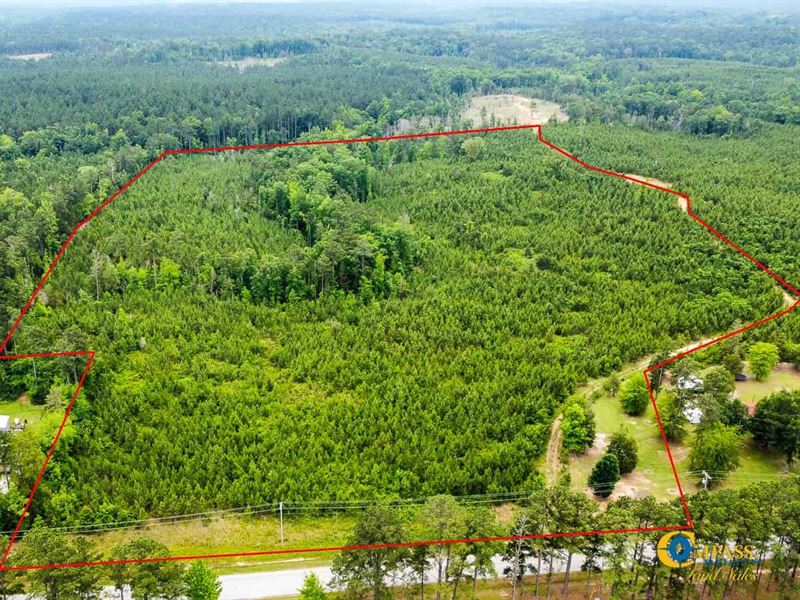 Adger Hills East Tract : Winnsboro : Fairfield County : South Carolina