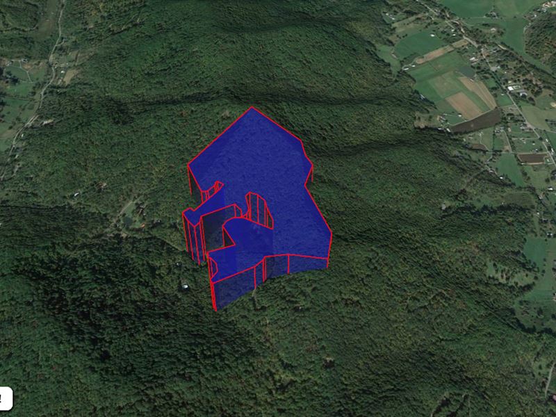 Huge 62.04 Acres in Buncombe County : Barnardsville : Buncombe County : North Carolina