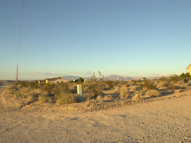 Renowned for Its Natural Beauty : Scenic : Mohave County : Arizona