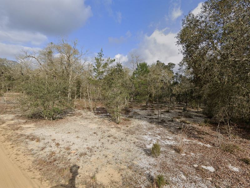 Escape to Your Own Serene Sanctuary : Interlachen : Putnam County : Florida