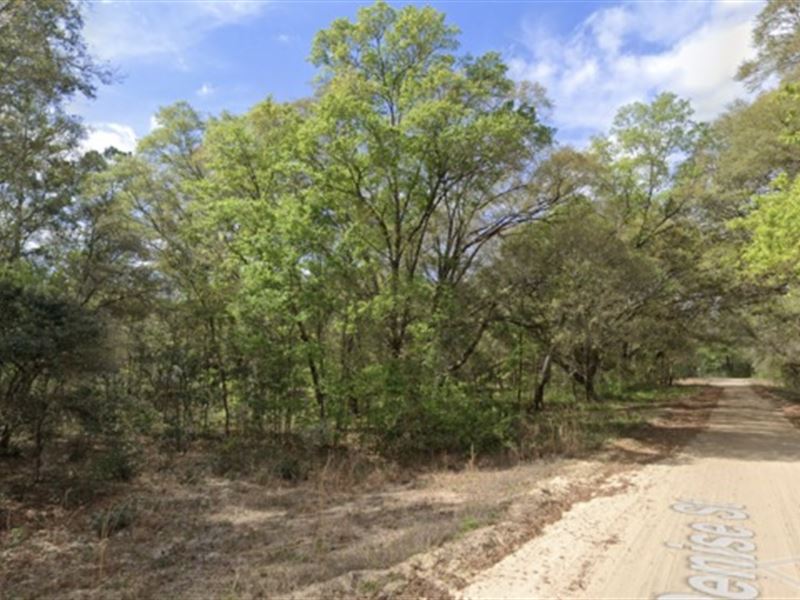 Your Pass to The Florida Lifestyle : Interlachen : Putnam County : Florida