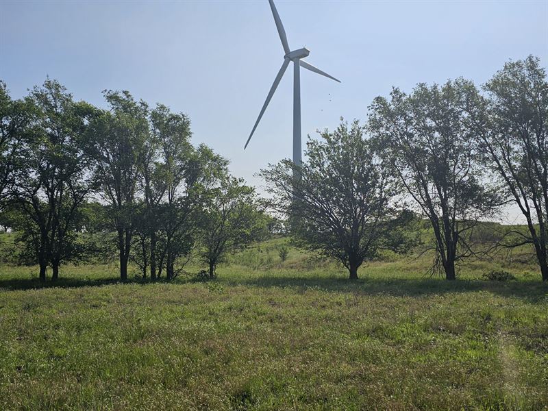 Big Income and Big Bucks : Harper : Harper County : Kansas