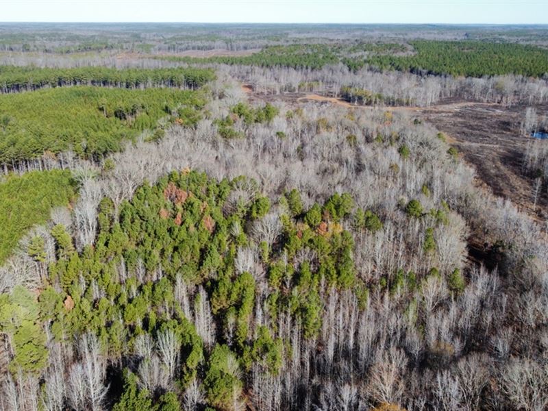 57.9 Acres in Carroll County, MS : Vaiden : Carroll County : Mississippi