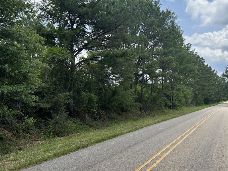 15 Ac Garden Rd McKenzie, AL : McKenzie : Covington County : Alabama
