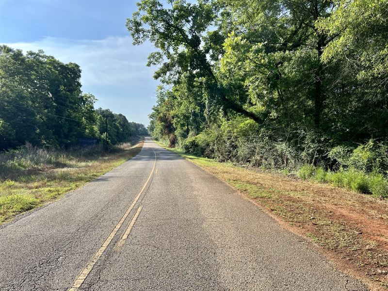 Monticello Tract 1 : Banks : Pike County : Alabama
