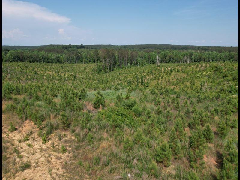 184.3 Acres in Lafayette County : Paris : Lafayette County : Mississippi