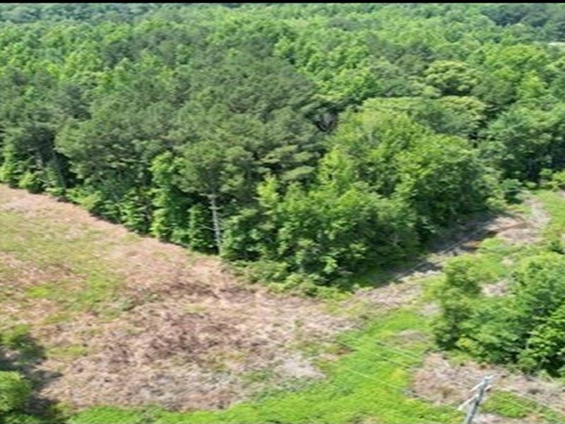 24 Acres in Jasper County in Newton : Newton : Jasper County : Mississippi