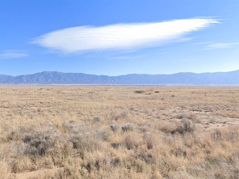 A Private Retreat on 0.25 Ac in NM : New Mexico : Valencia County : New Mexico