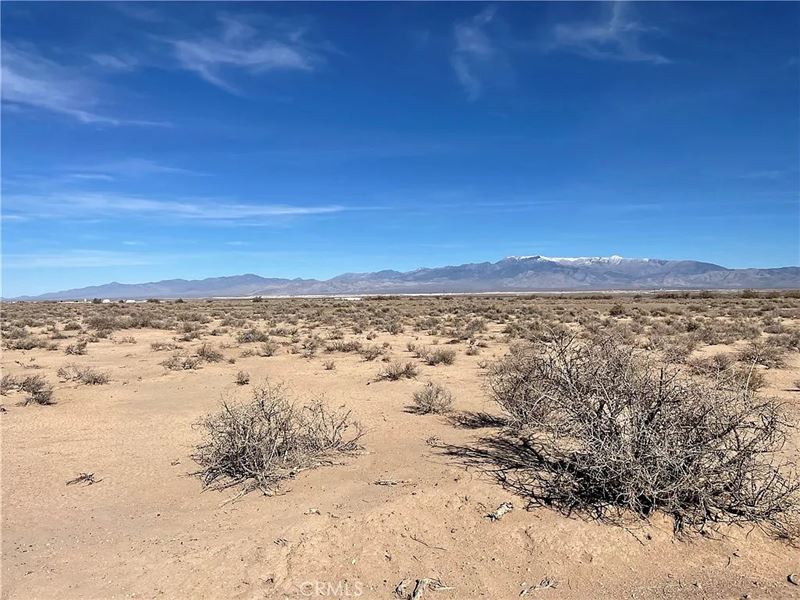 2.5 Ac That's A Sure Bet Near Vegas : Tecopa : Inyo County : California