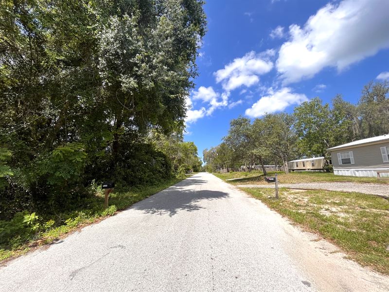 Corner Lot with Power & Paved Road : New Port Richey : Pasco County : Florida