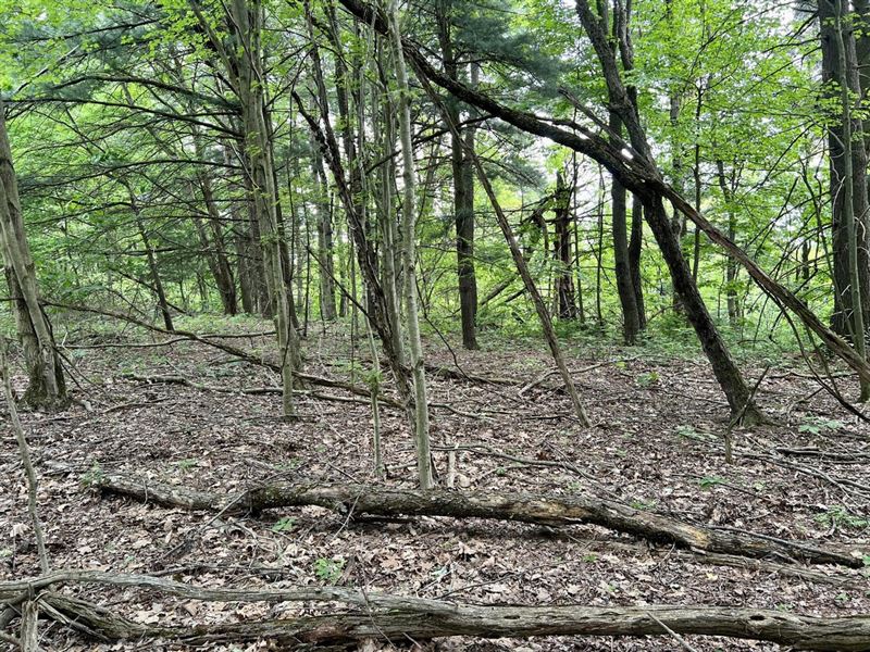 Springs Rd, Beaver County, 102 ac : Georgetown : Beaver County : Pennsylvania