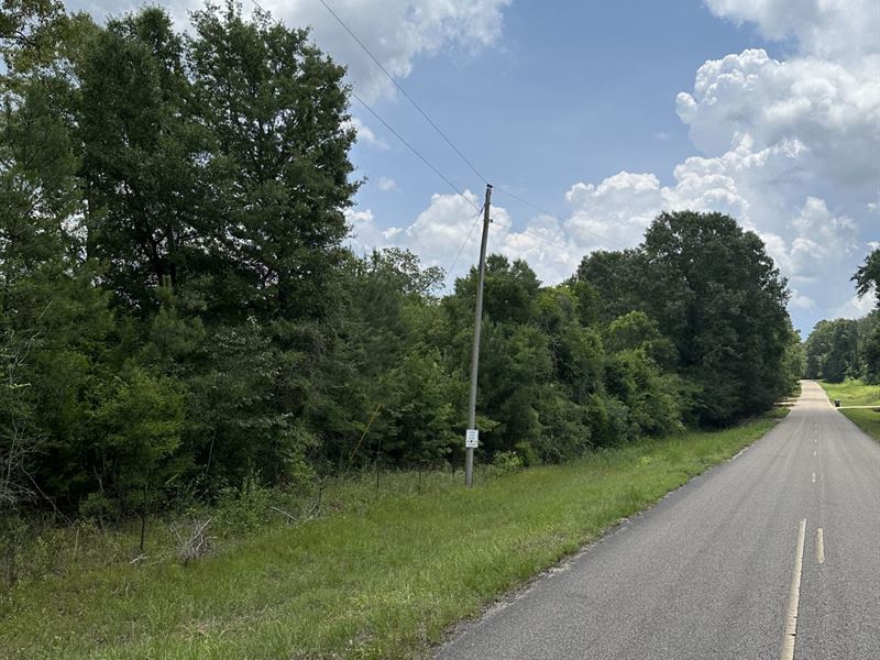 10 Ac Garden Rd McKenzie, AL : McKenzie : Covington County : Alabama