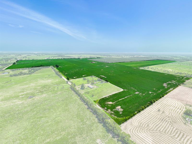 Lamar County Row Crop Farm for Sale : Deport : Lamar County : Texas