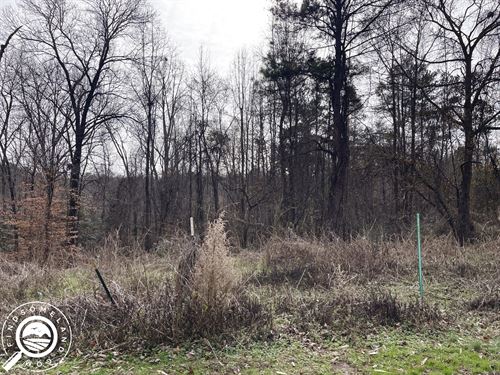 A Slice of Paradise in SC : Spartanburg : South Carolina