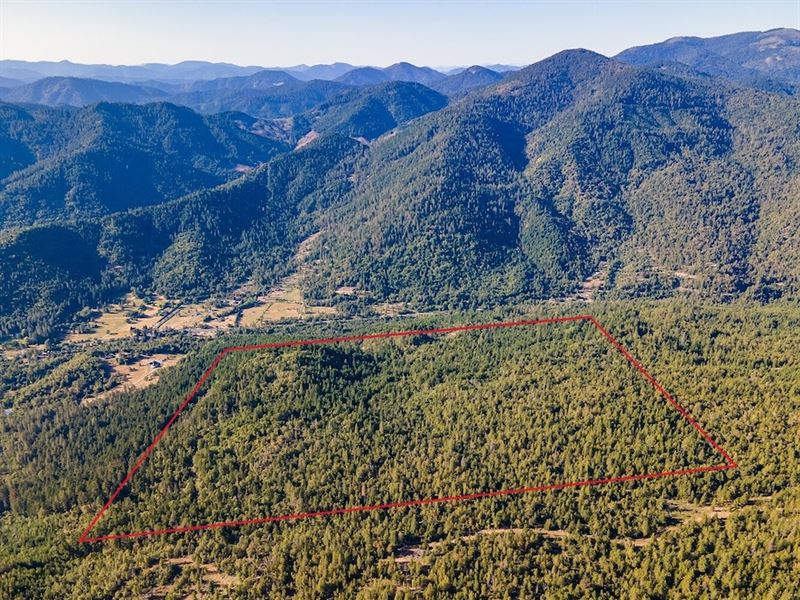 480 Acres in Grants Pass, Oregon : Grants Pass : Josephine County : Oregon