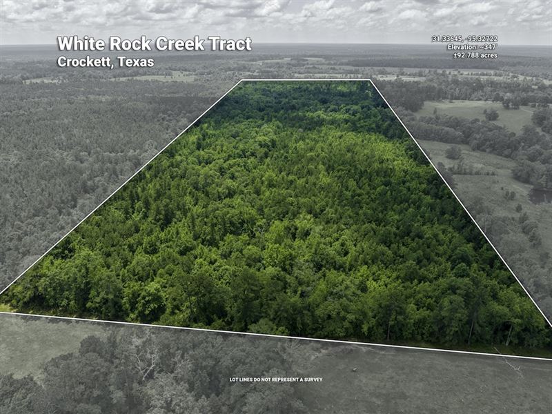 White Rock Creek Tract : Crockett : Anderson County : Texas