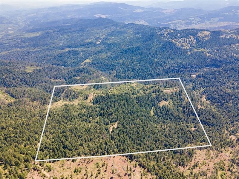 Tiller Trail 160 : Trail : Jackson County : Oregon