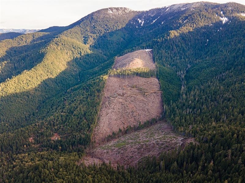 Rock Creek : Williams : Josephine County : Oregon