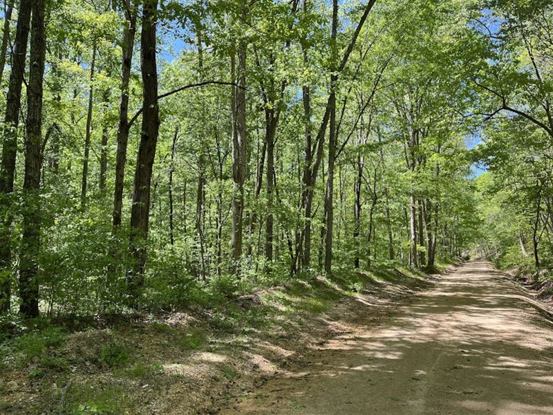 Rappaport Tract : Centerview : Hickman County : Tennessee