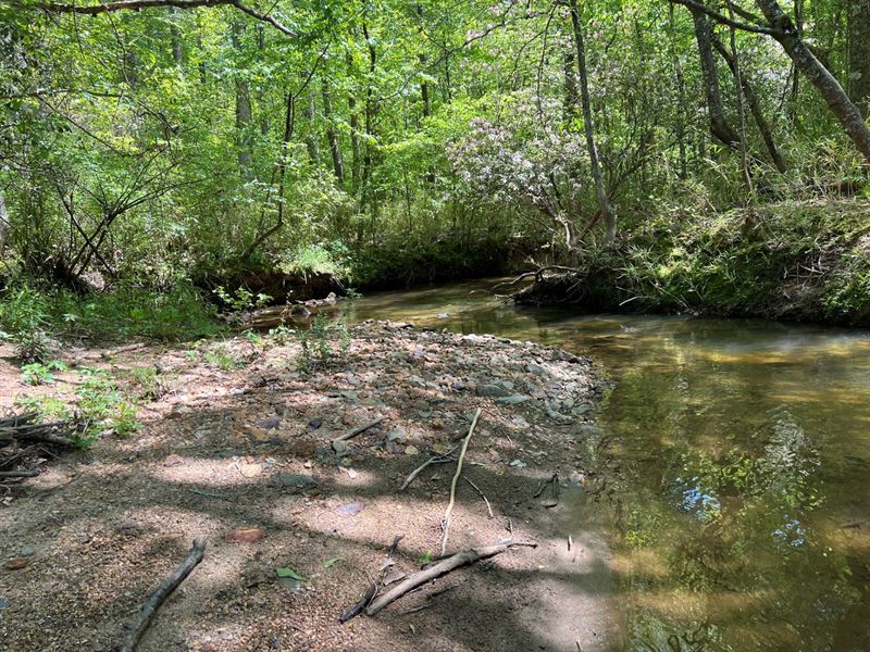 Brewer Creek : Cragford : Clay County : Alabama