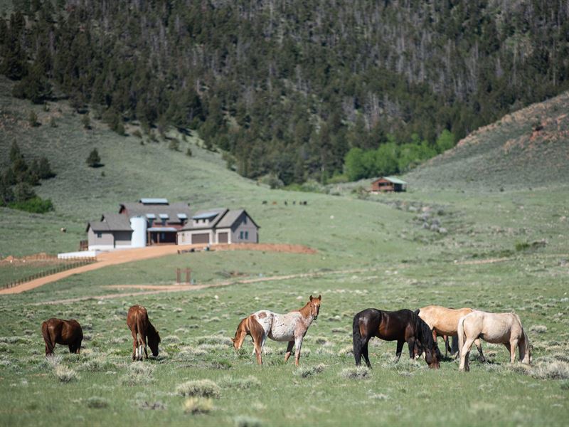 The Farmhouse at Wild Horse Ranch : Laramie : Albany County : Wyoming