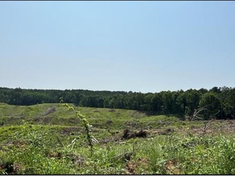 123.1 Acres in Lafayette County : Oxford : Lafayette County : Mississippi