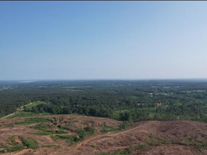 125.4 Acres in Lafayette County : Oxford : Lafayette County : Mississippi
