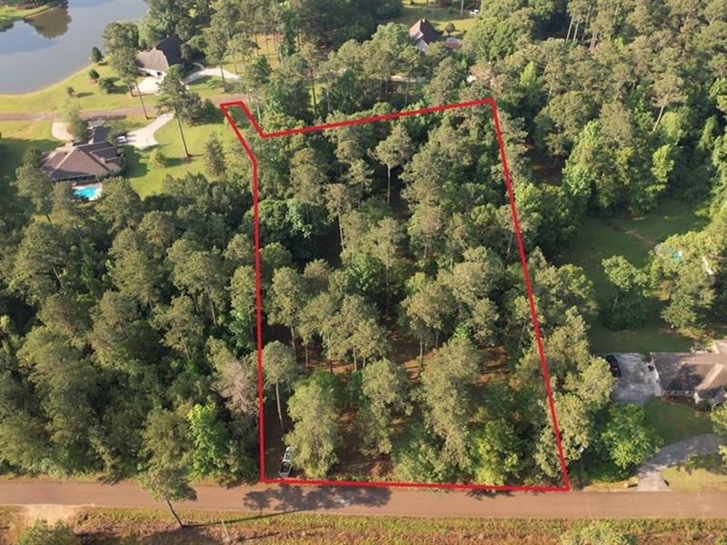 2.45 Acre Wooded Lot in Oakleigh : McComb : Pike County : Mississippi