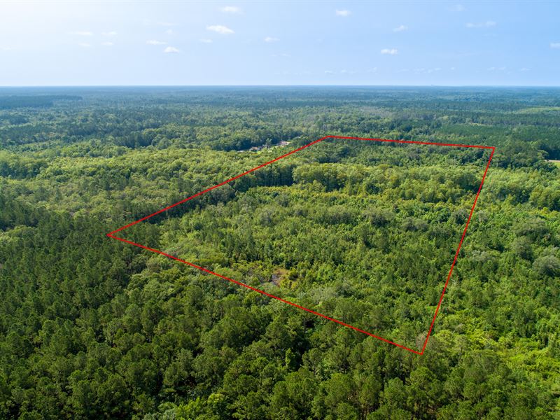 Countryside Living, SE Coast of GA : Brunswick : Glynn County : Georgia