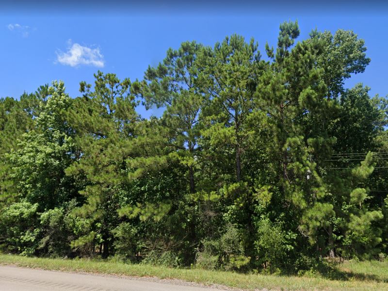 Off-Grid Paradise on 0.16 Acres : Ivanhoe : Tyler County : Texas