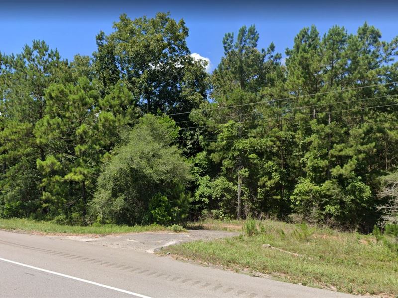 Live Large on 0.16 Ac, Tyler County : Ivanhoe : Tyler County : Texas