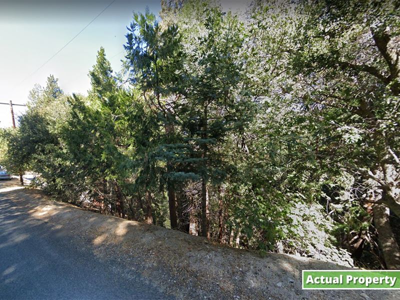 Paved Road, Public Water, Mountain : Crestline : San Bernardino County : California