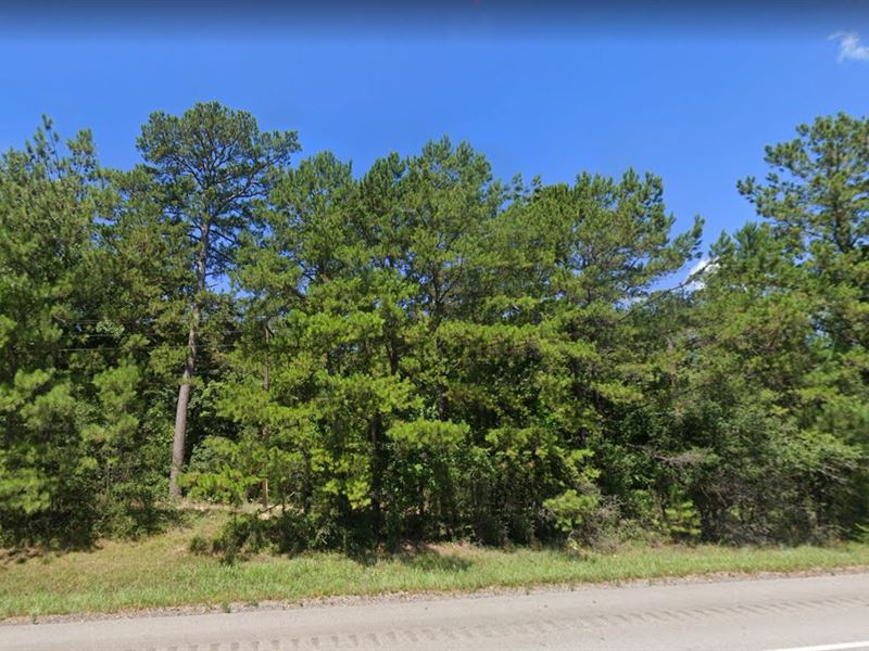 Escape to Tx, Low Down Payment : Ivanhoe : Tyler County : Texas