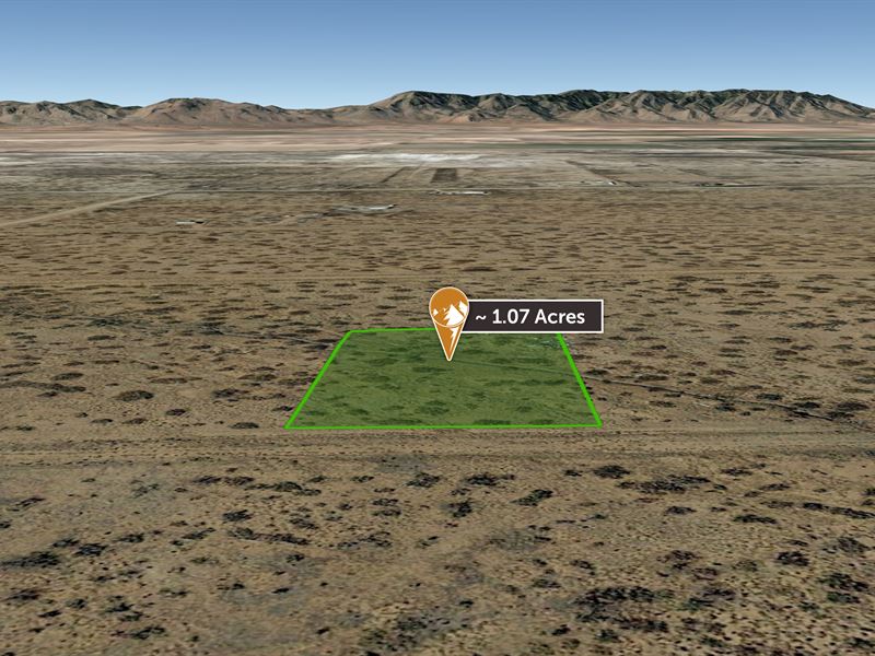 Flat, Dirt Road, Desert Lot : Willcox : Cochise County : Arizona