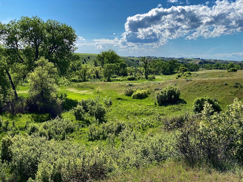 Blue Creek Ranch : Billings : Yellowstone County : Montana