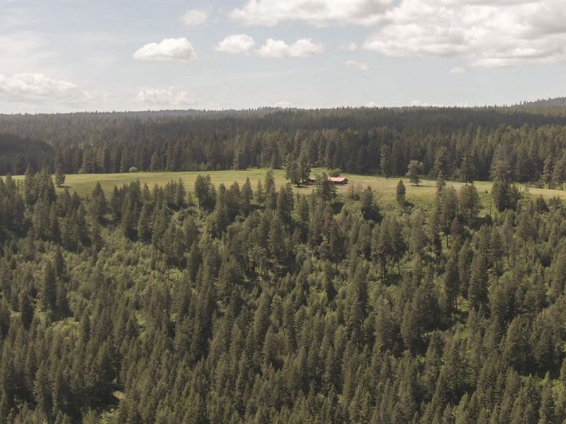 Boles Idaho Hunting Ranch : Cottonwood : Idaho County : Idaho