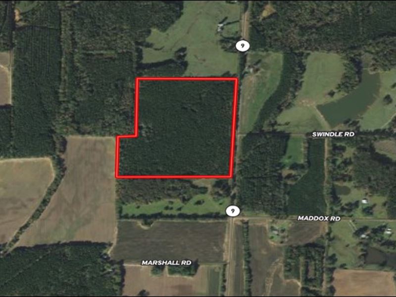 46.4 Acres in Choctaw County in Ack : Ackerman : Choctaw County : Mississippi