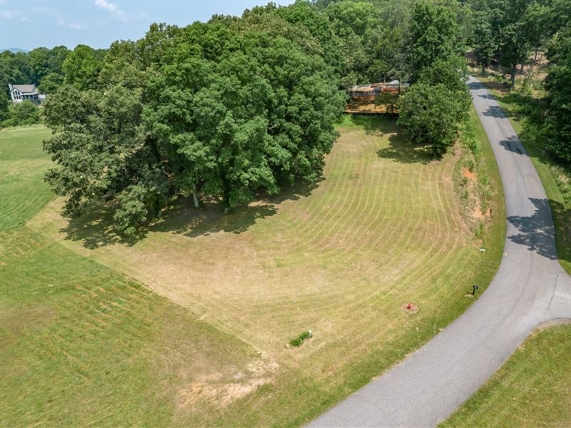 Level Lot with Amenities : Blairsville : Union County : Georgia