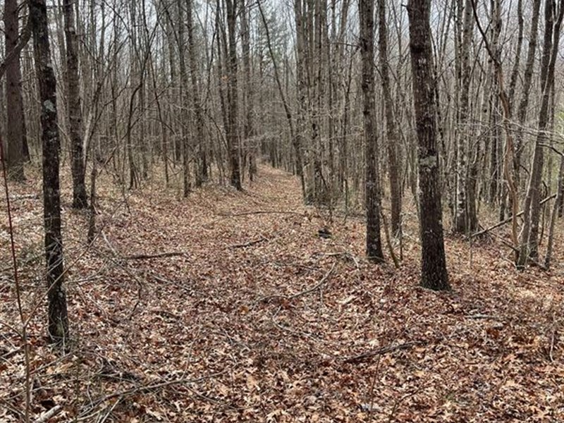Large Hunting Tract : Williamsburg : Whitley County : Kentucky