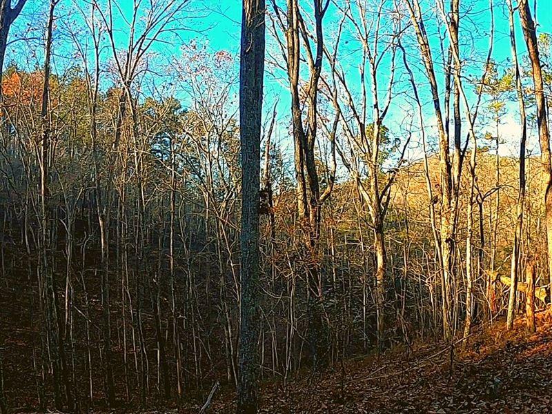1.52 Acres Only $1 Down, $399/Mo : Ranger : Gordon County : Georgia